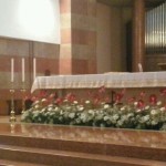Fiori Confermazione 2016 - 4