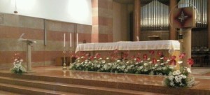 Fiori Confermazione 2016 - 4