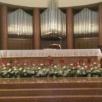 Fiori Confermazione 2016 - 3