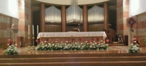 Fiori Confermazione 2016 - 3
