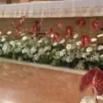 Fiori Confermazione 2016 - 2