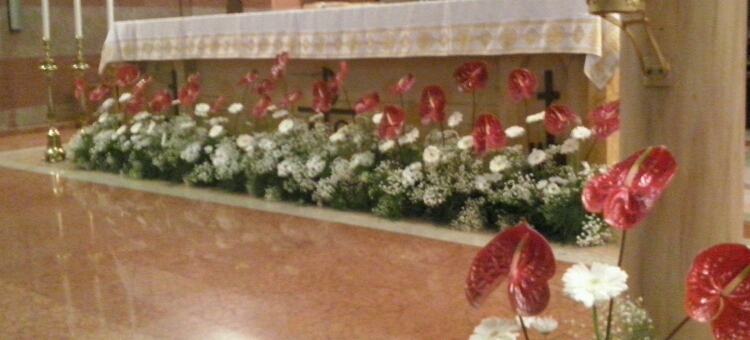 Fiori Confermazione 2016 - 2