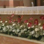 Fiori Confermazione 2016 - 1