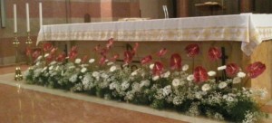 Fiori Confermazione 2016 - 1