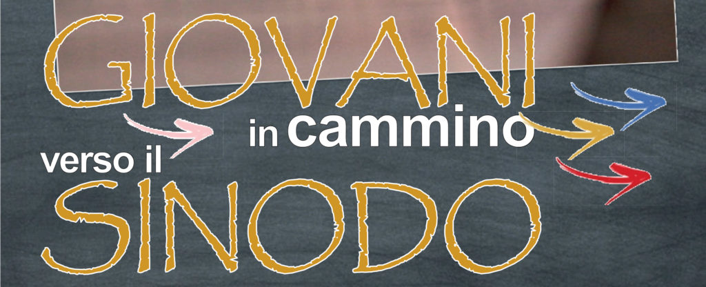 banner-sinodo-vicariato