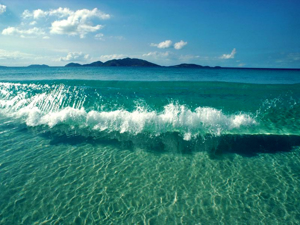 __048636___Mare