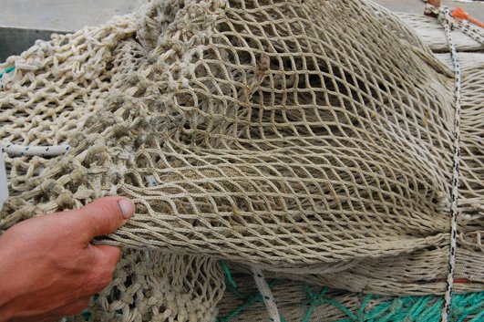 rete-a-maglie-di-20-millimetri